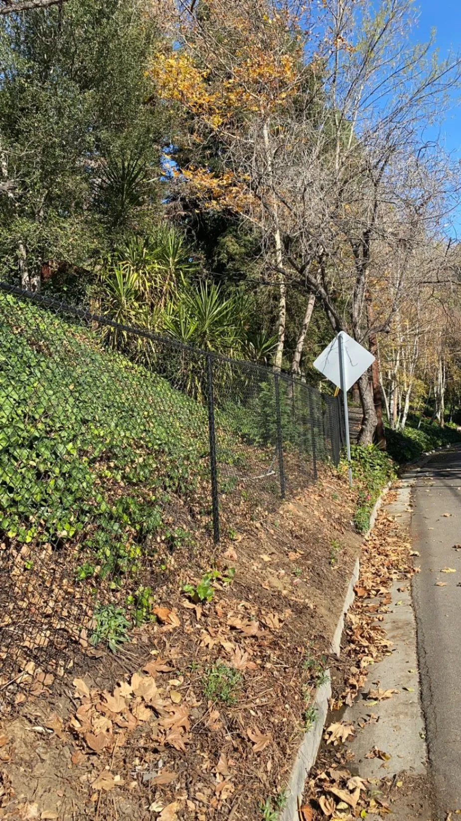 Fencing Services