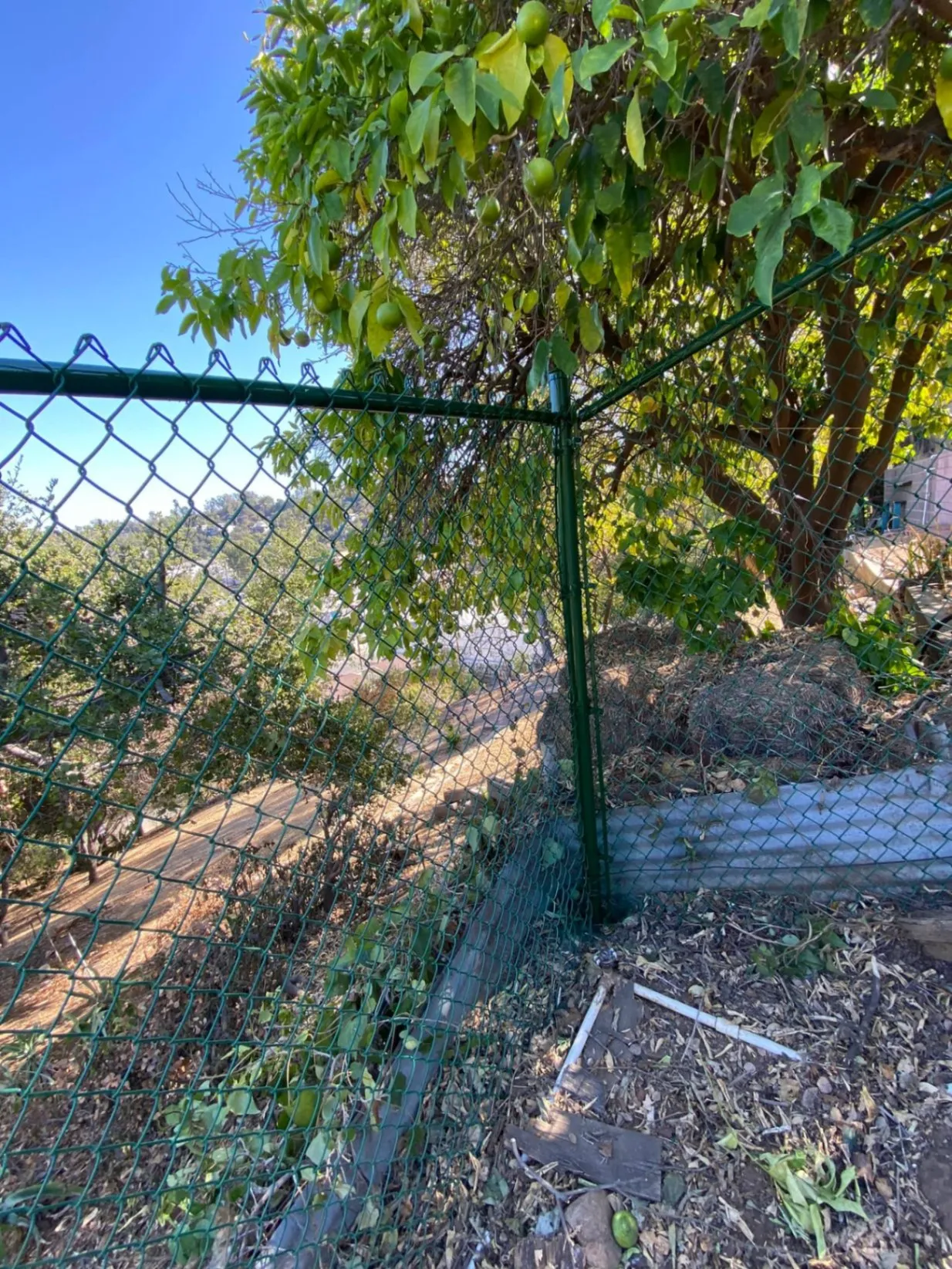Gallery image 15