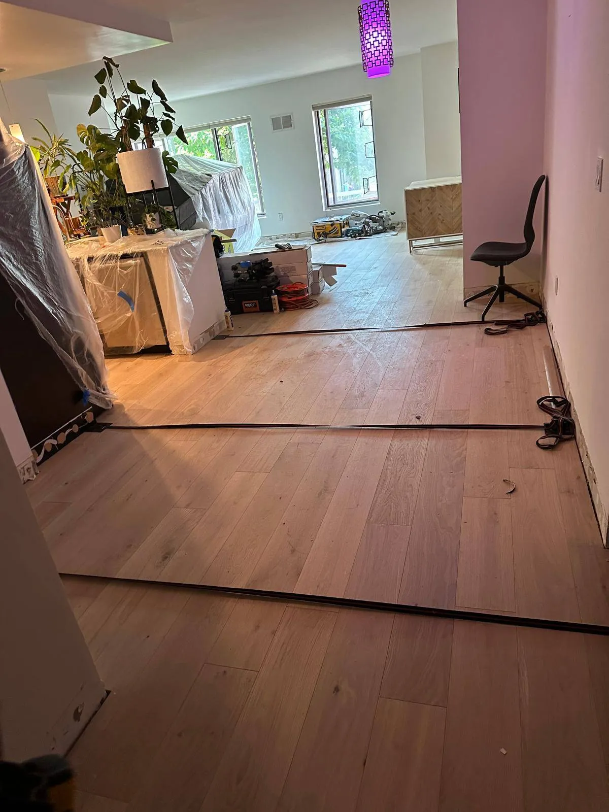 Gallery image 62