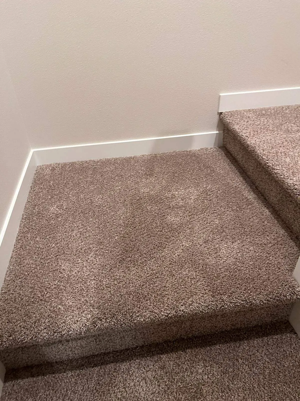 Sustainability & Environment