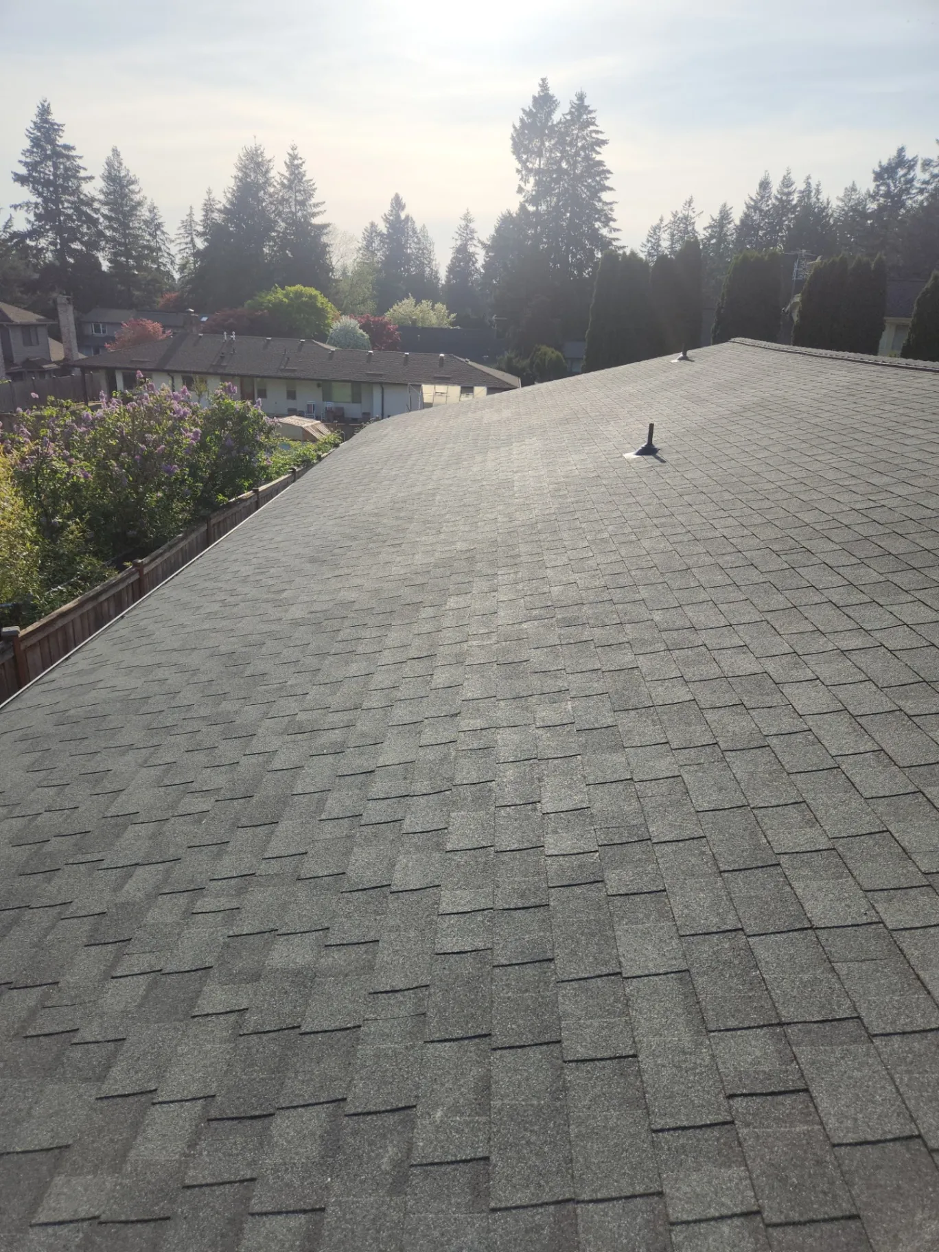 Elevate Your Home with Expert Roofing