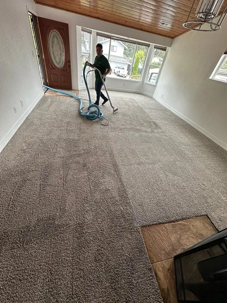 Carpet Cleaning