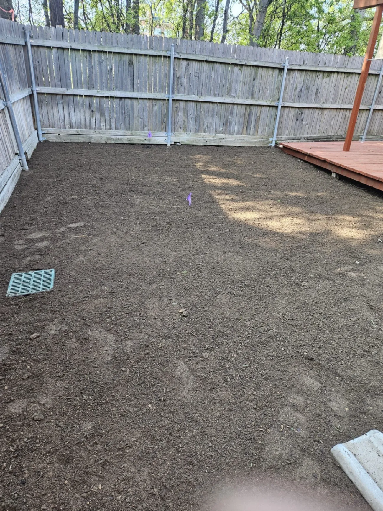 Gallery image 53