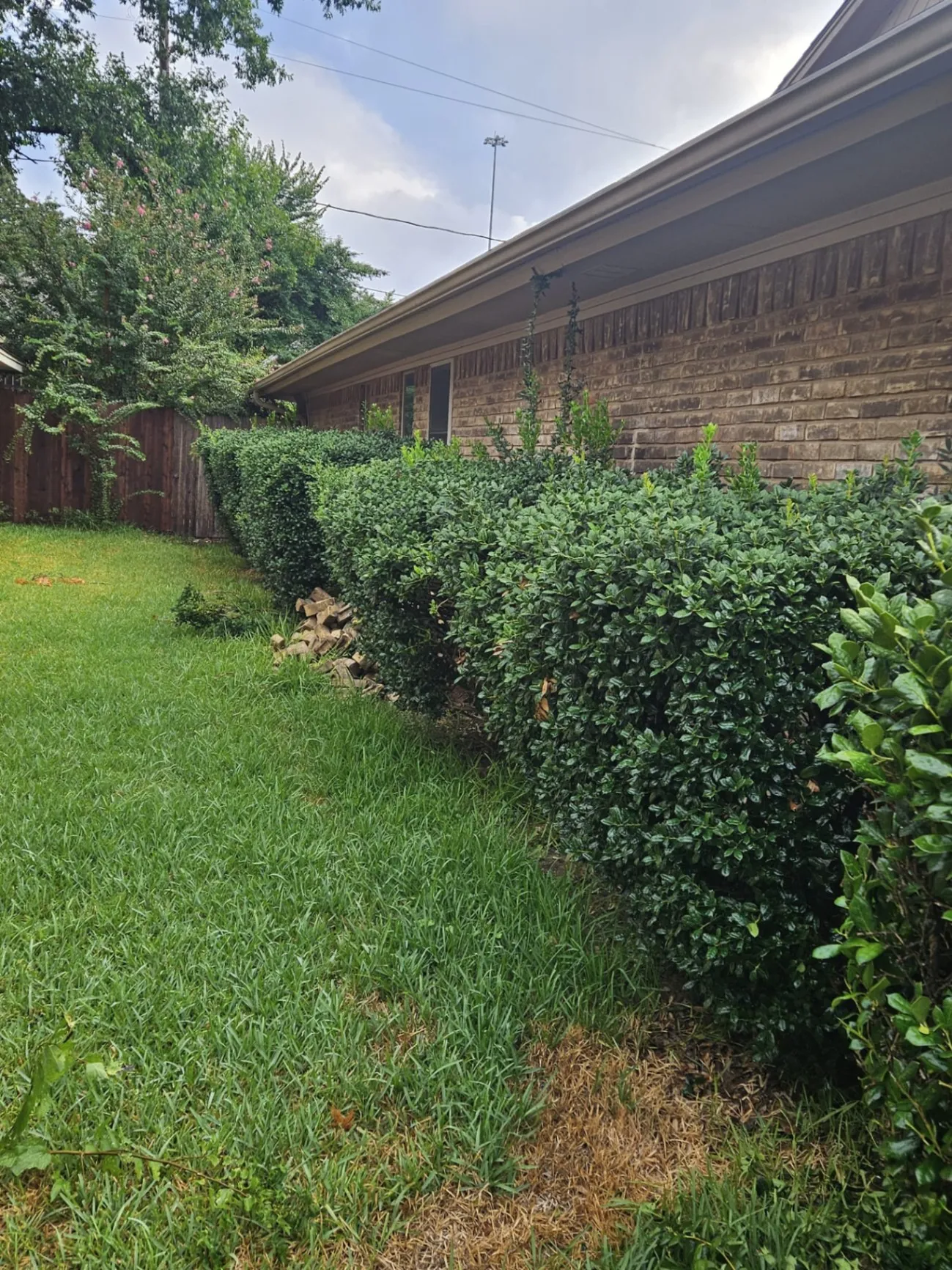 Gallery image 48