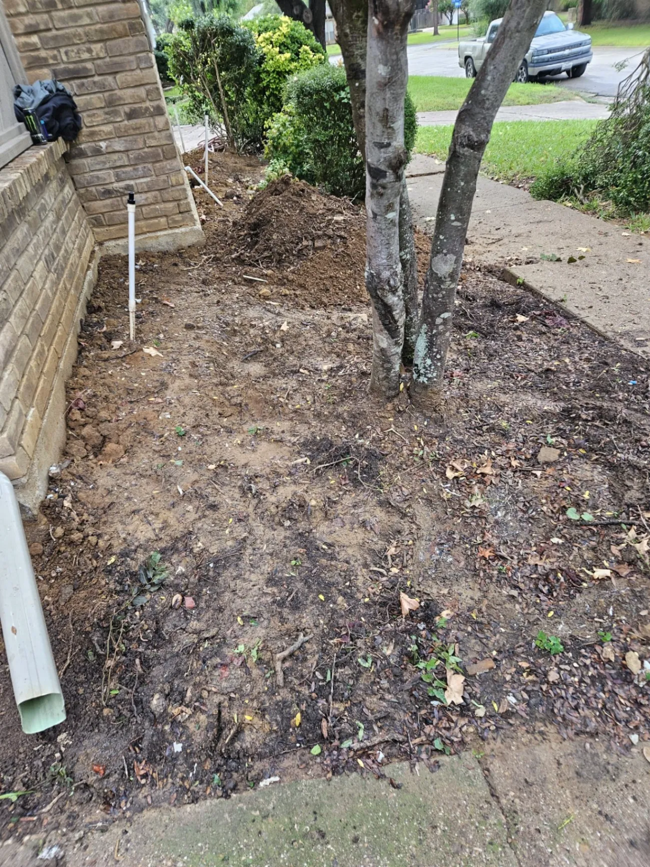 Gallery image 43