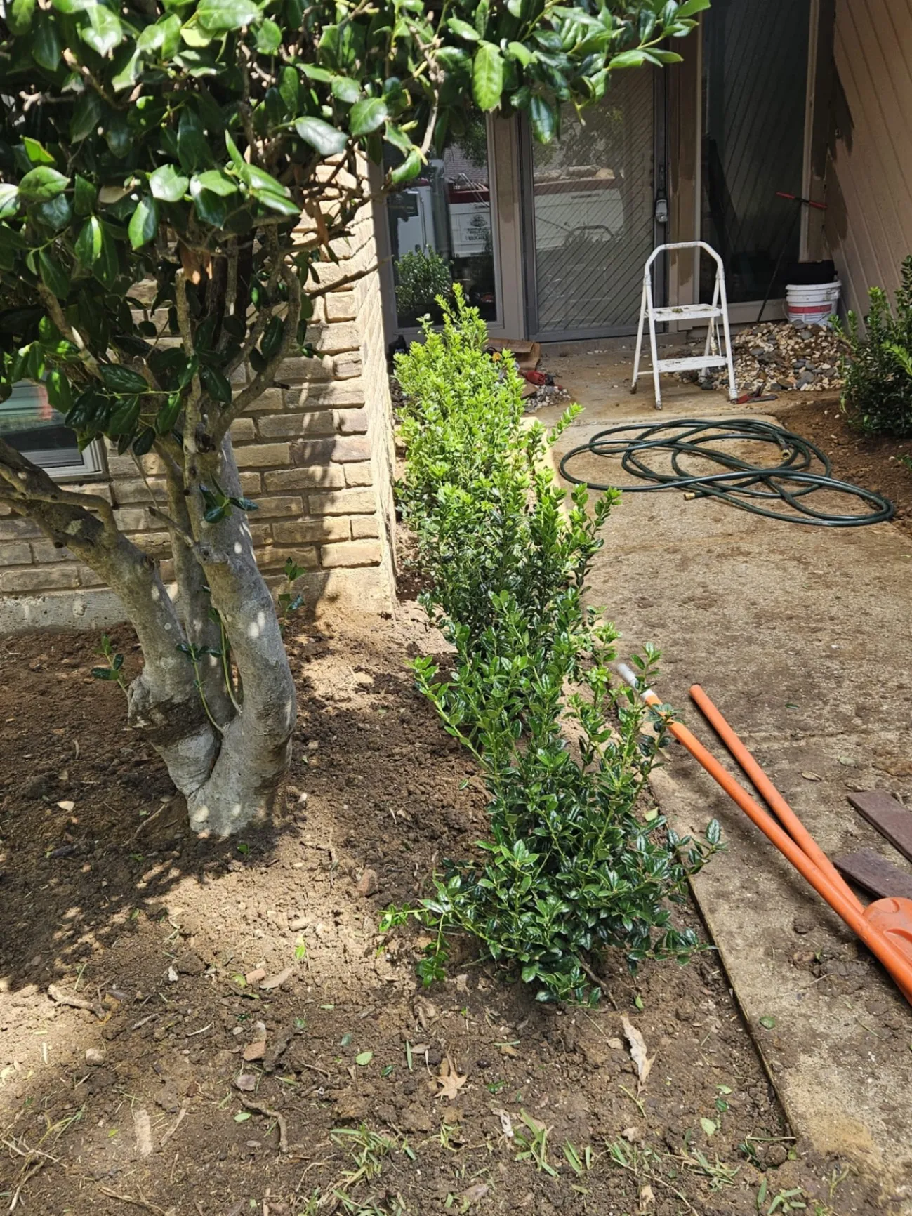 Gallery image 45