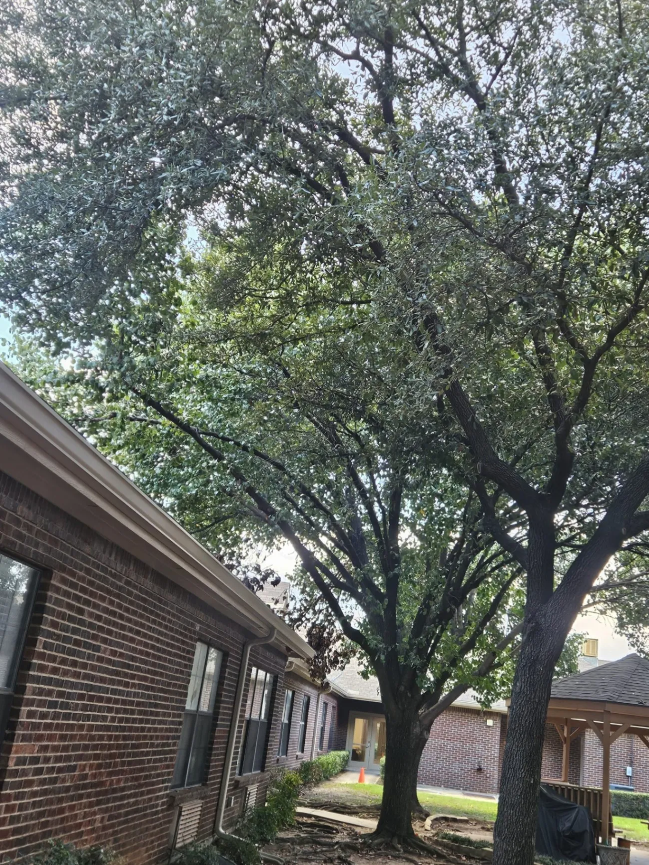 Gallery image 67
