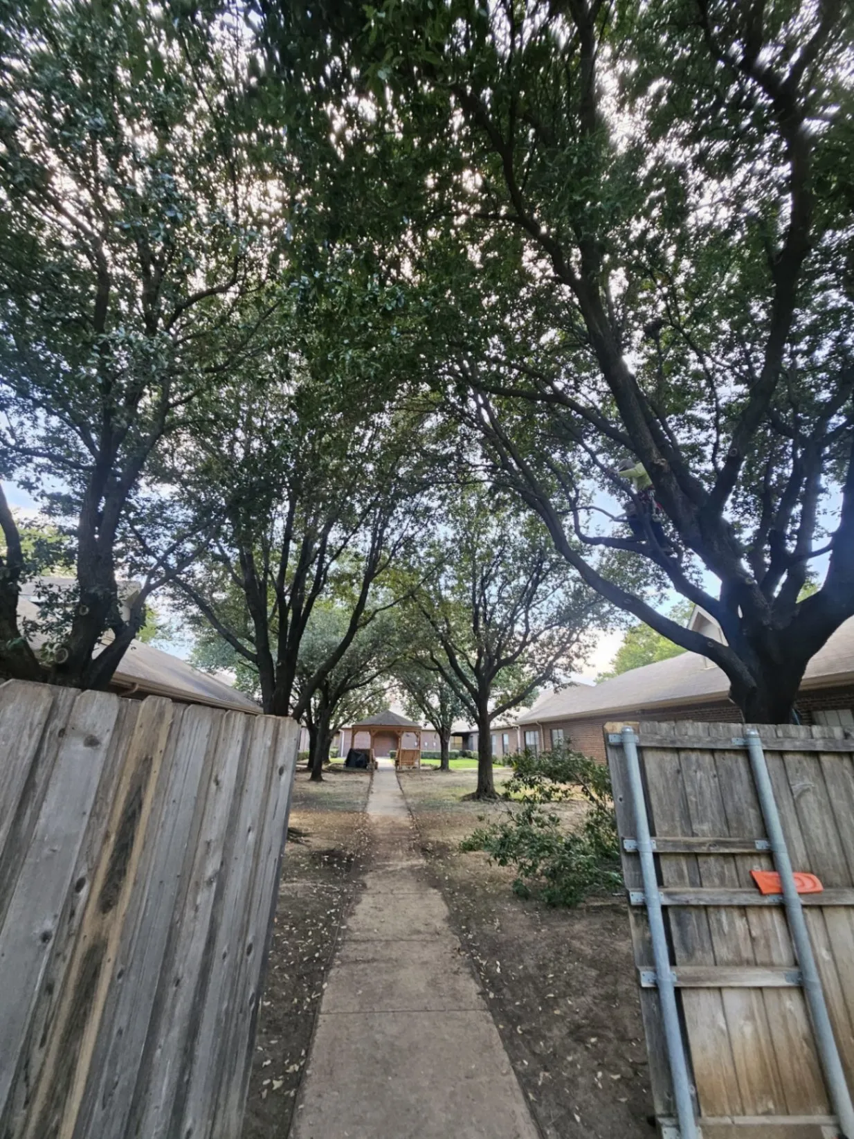 Gallery image 64