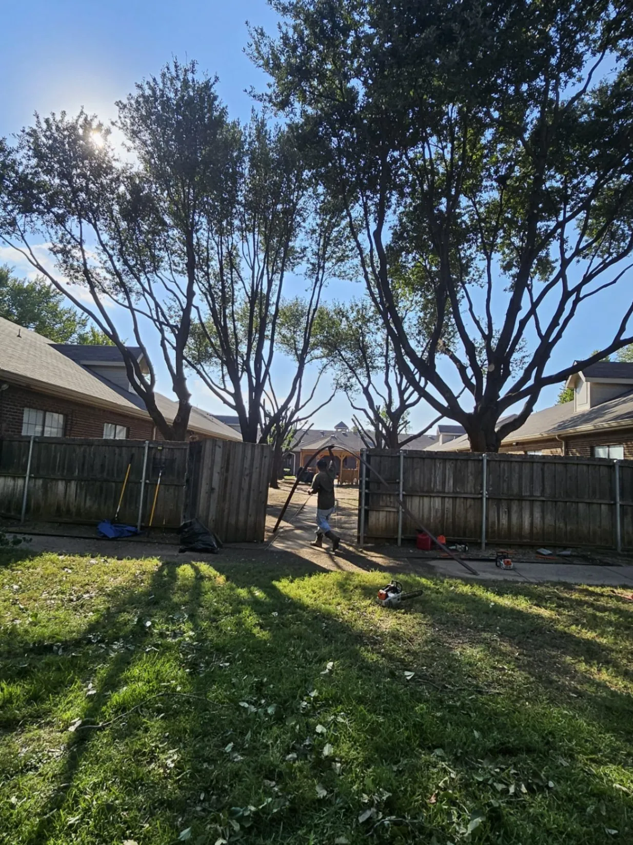 Gallery image 68