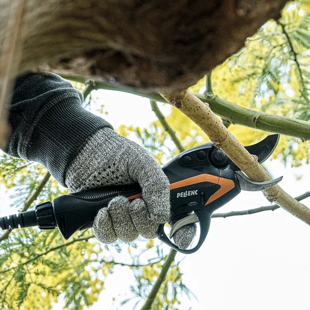 Roof Moss Removal & Cleaning Services