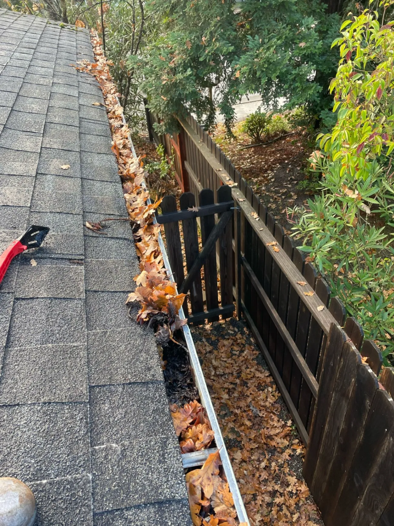 Gutter cleaning services