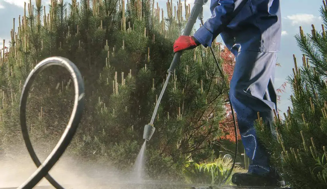 Soft Washing for your Home’s Exterior