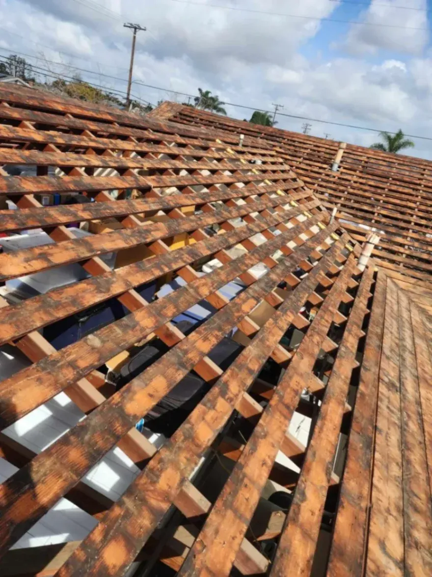 Red sports car on road