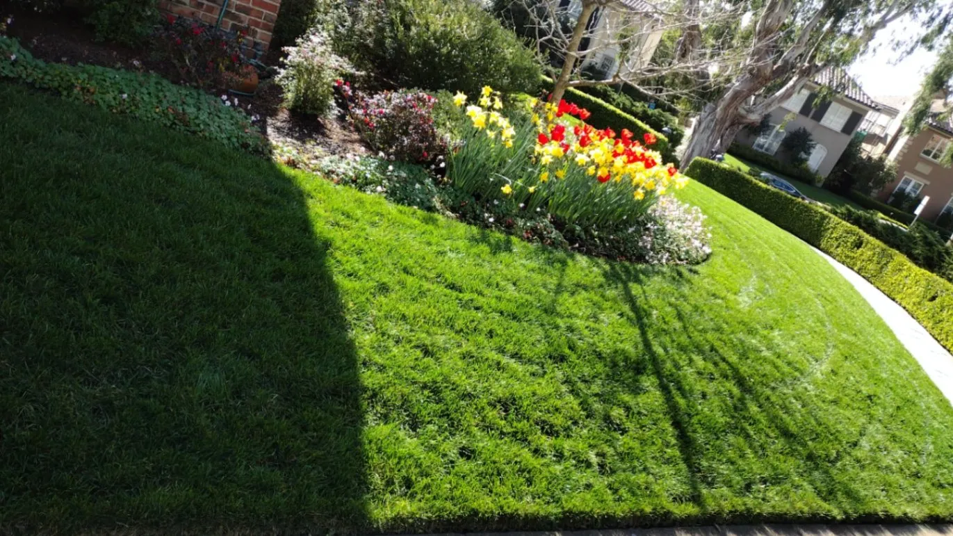 Your Trusted Partner in Landscaping - banner