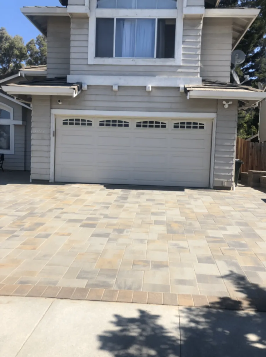 Gallery image 19