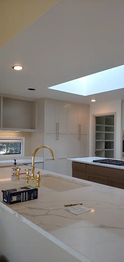 Cabinet Painting