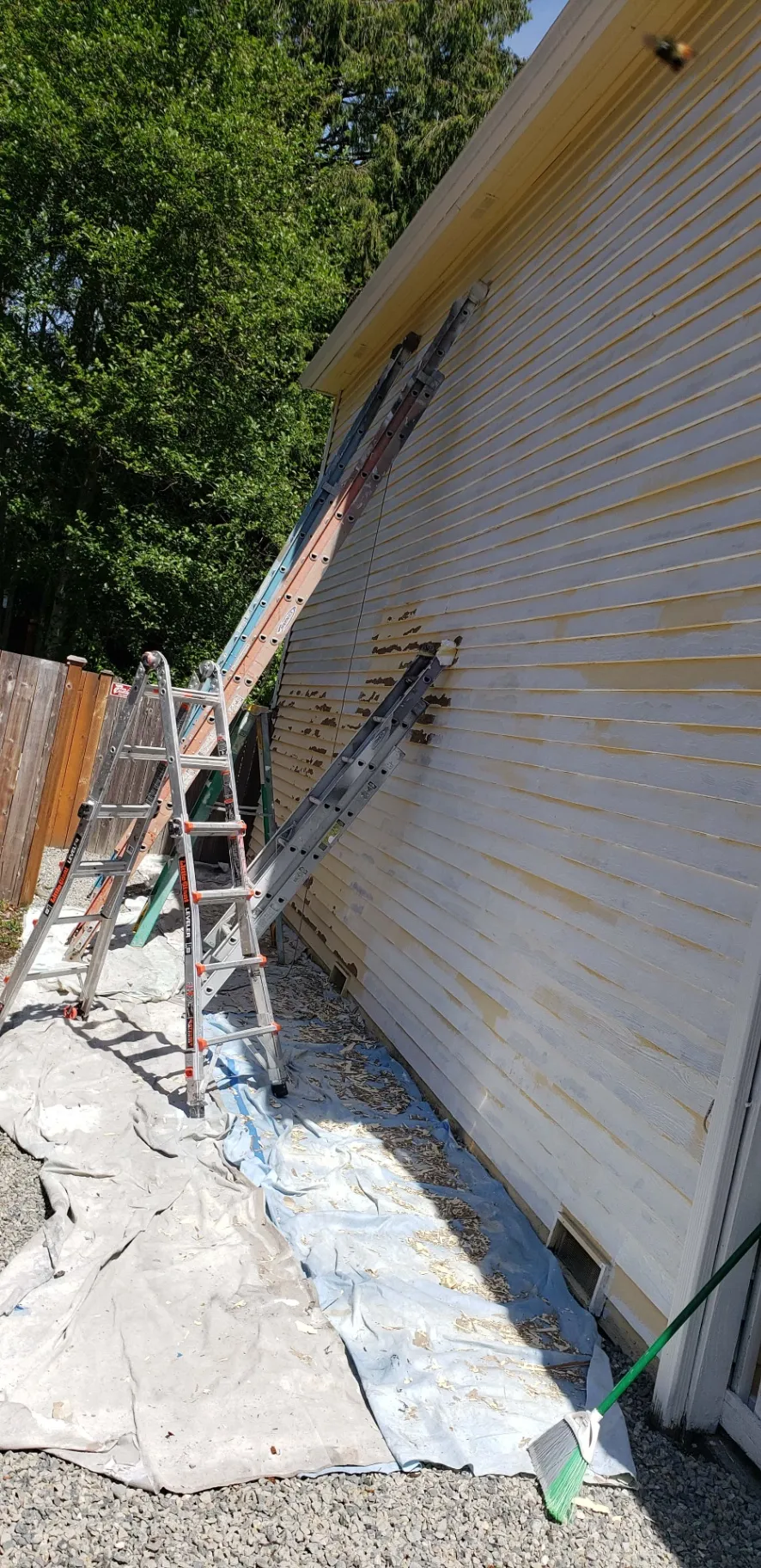Gallery image 17