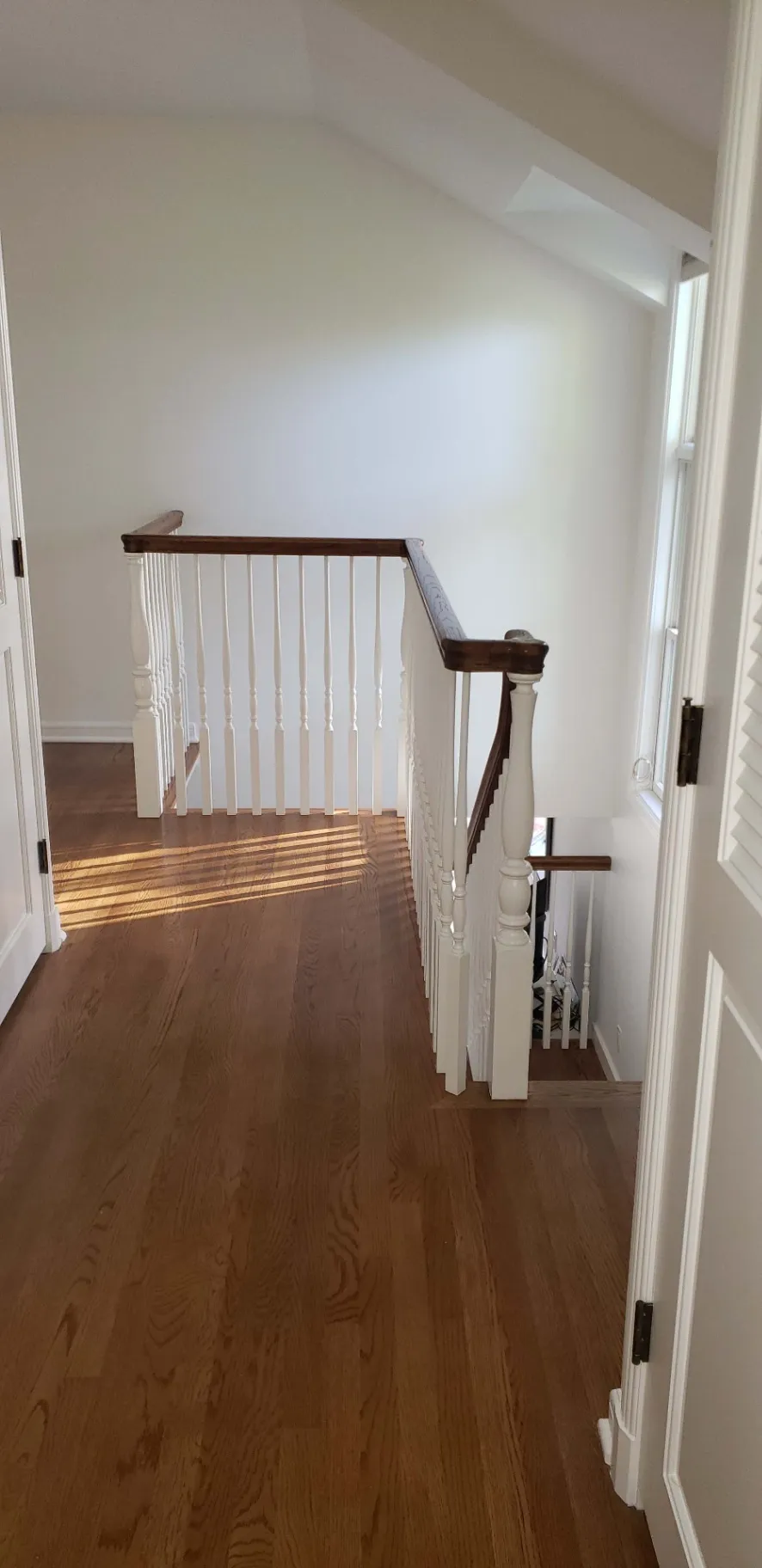 Gallery image 183