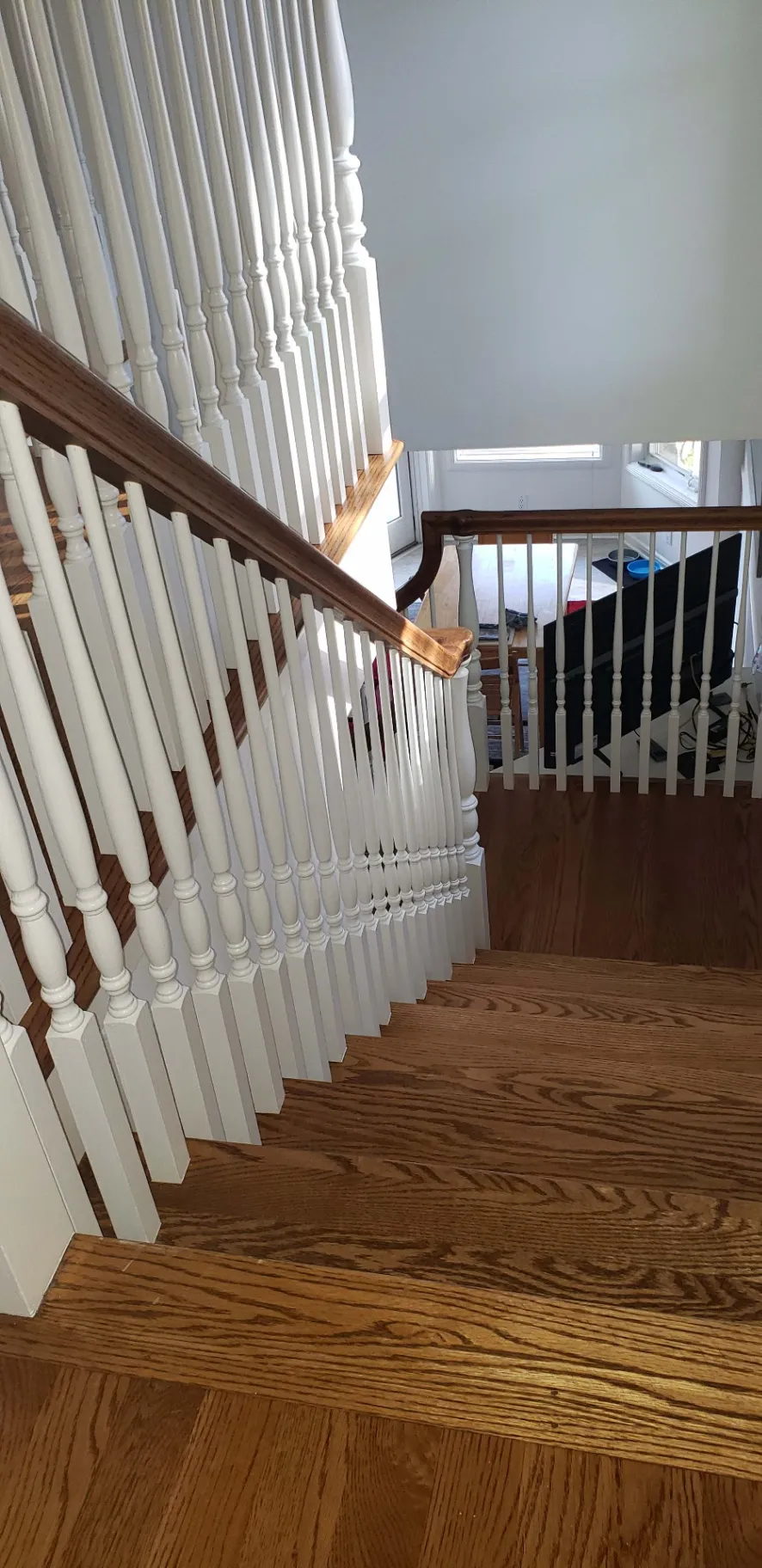 Gallery image 184