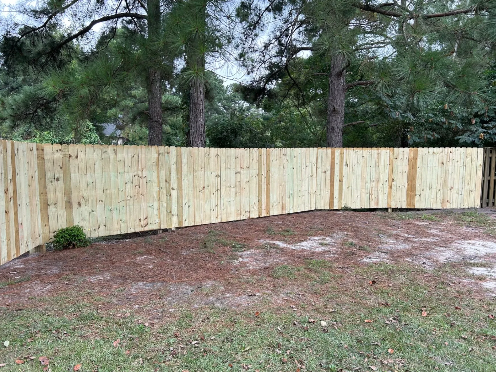 Crafting Your Ideal Outdoor Space - avatar