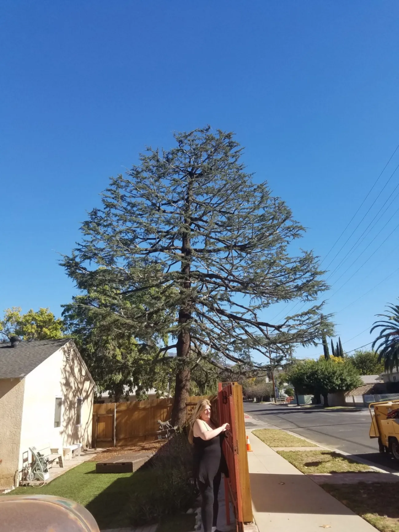 Car back view on road