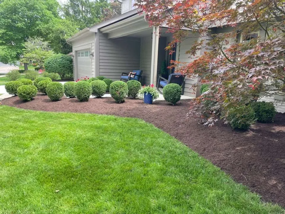 Gallery image 18