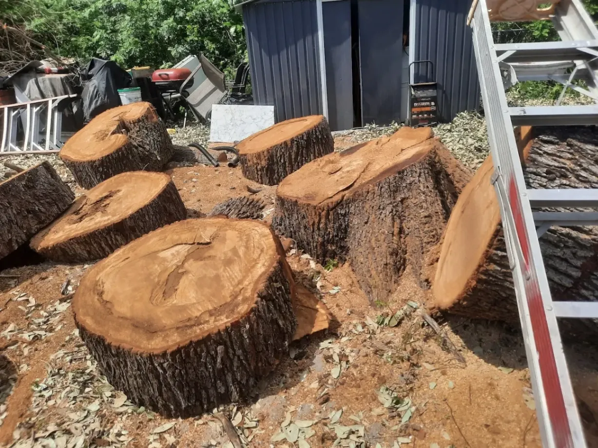 Gallegos Lawn Services LLC