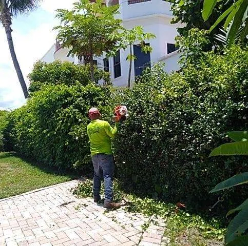 Gallegos Lawn Services LLC