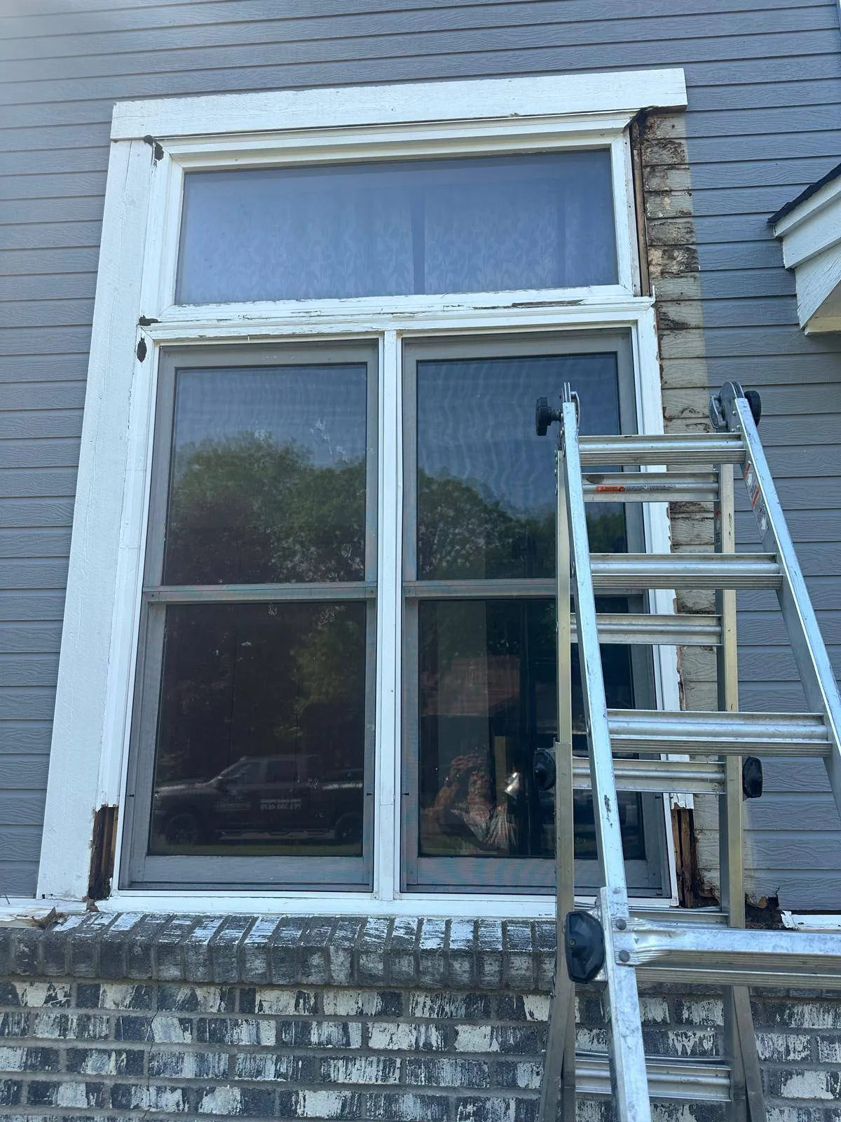 Gallery image 12