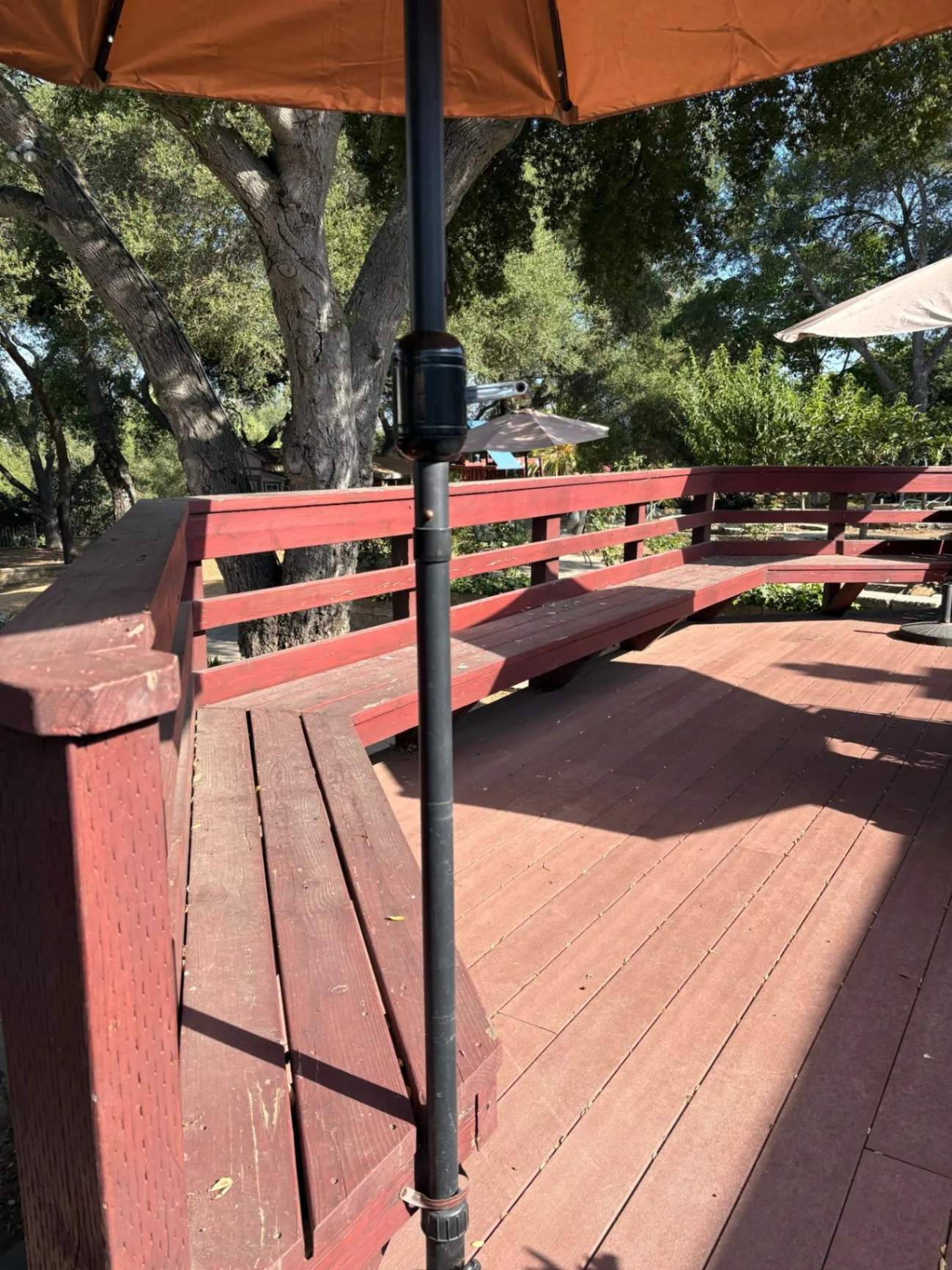 Gallery image 25