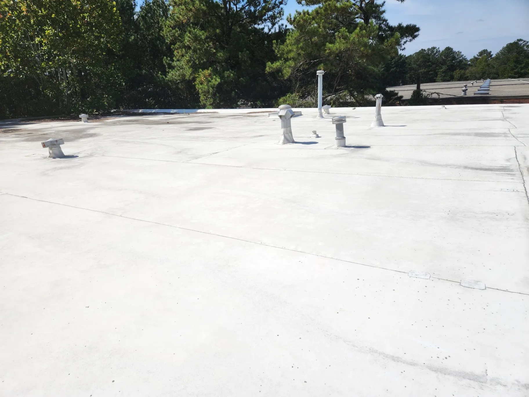TPO Roofing