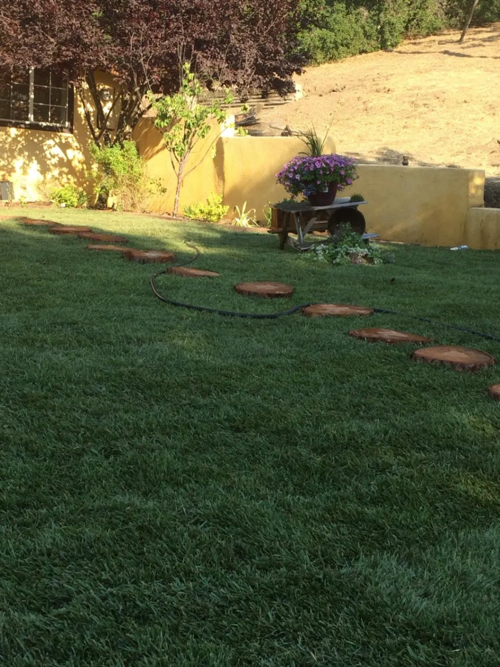 Ponce landscaping