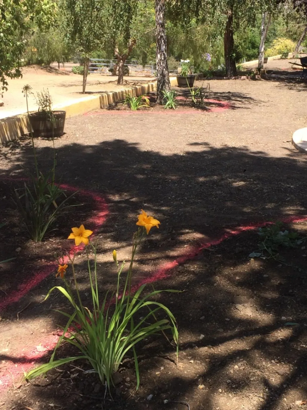 Ponce landscaping
