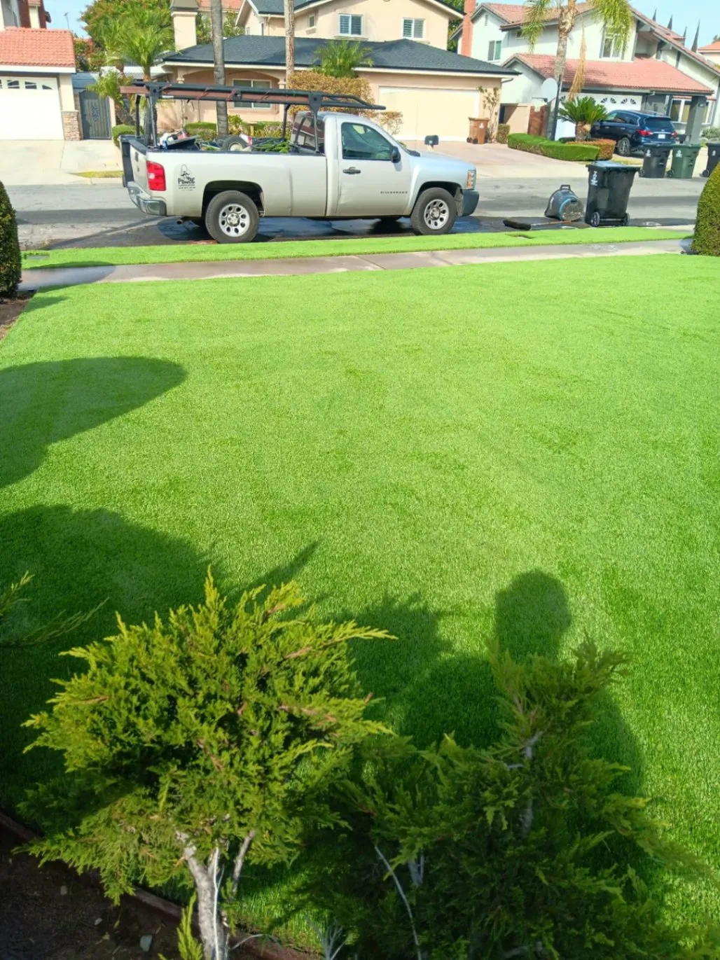 Gallery image 14