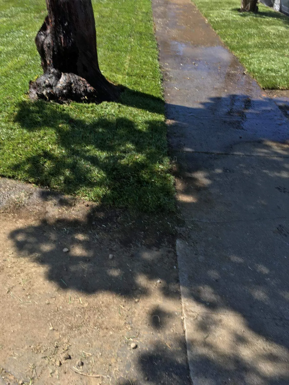 Gallery image 17