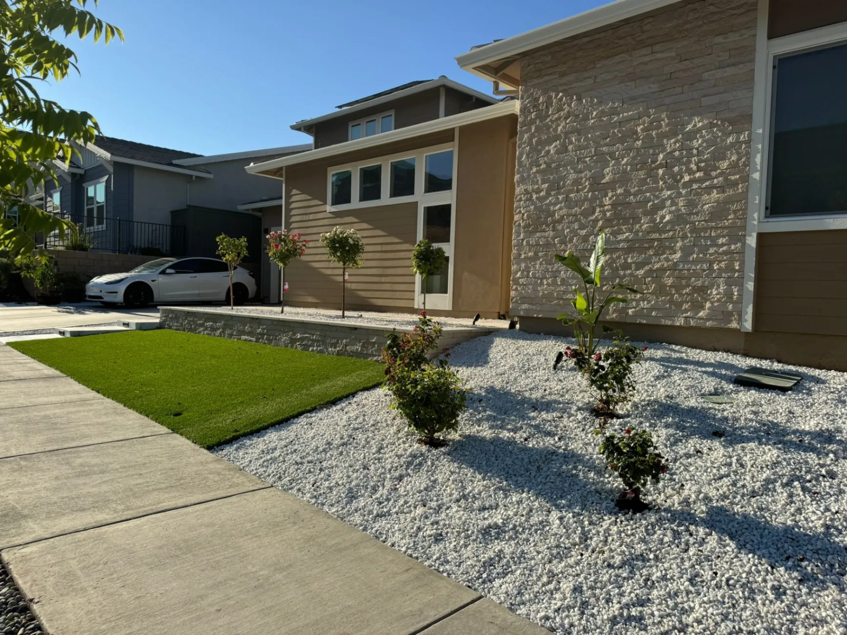 Gallery image 52