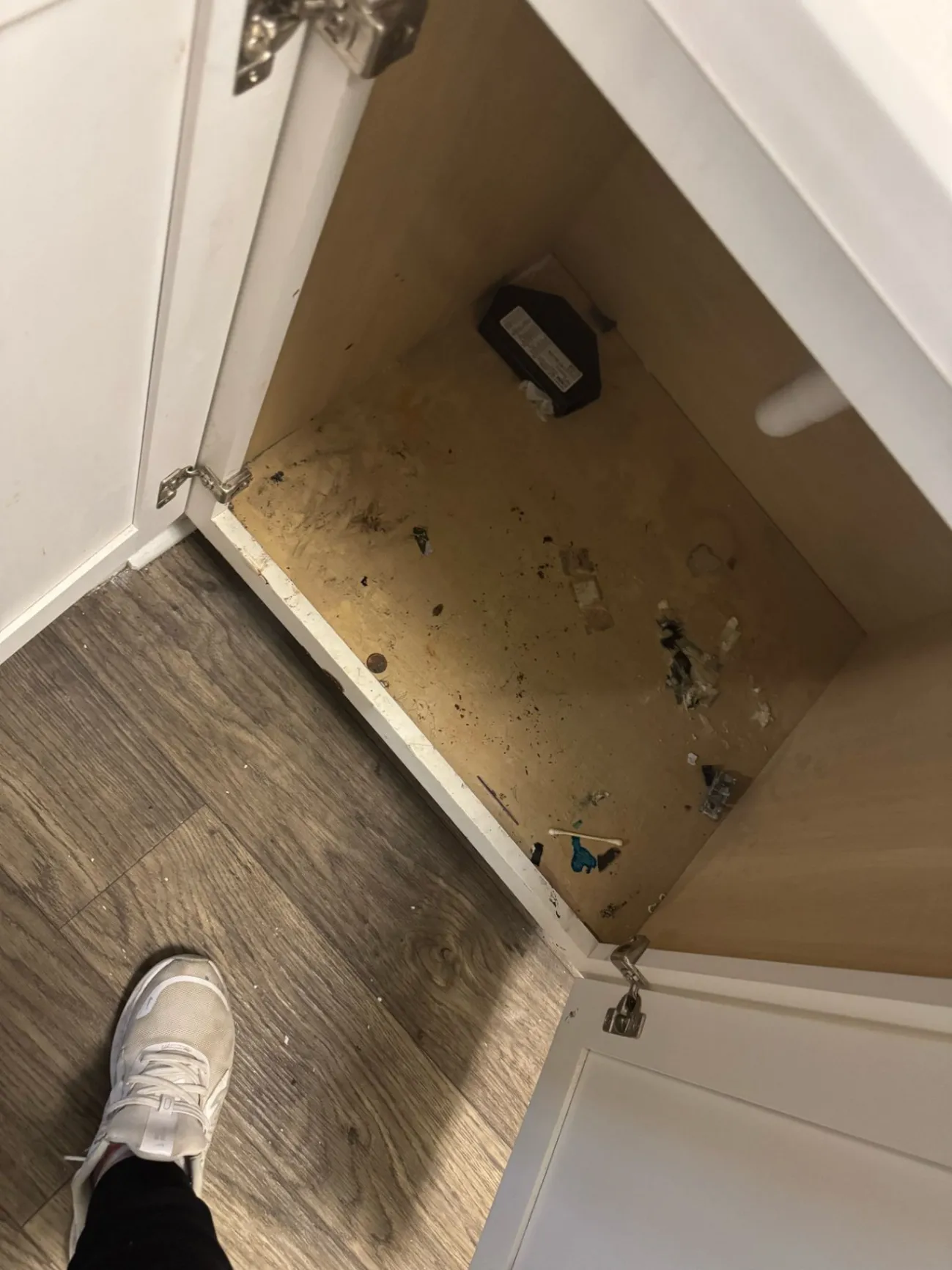 Gallery image 14