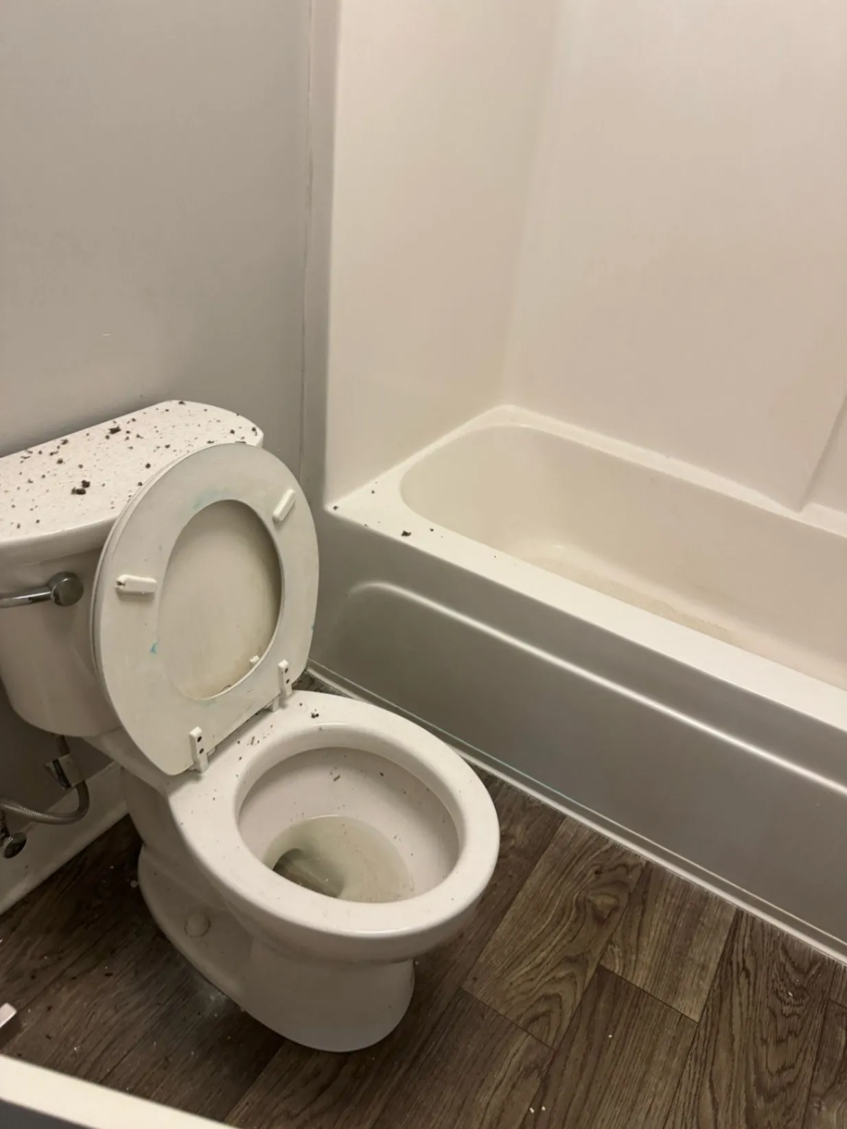 Gallery image 15