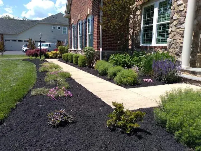 Hardscape and Concrete
