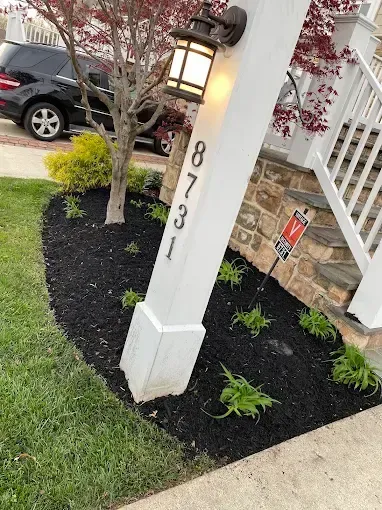 Maintenance Services