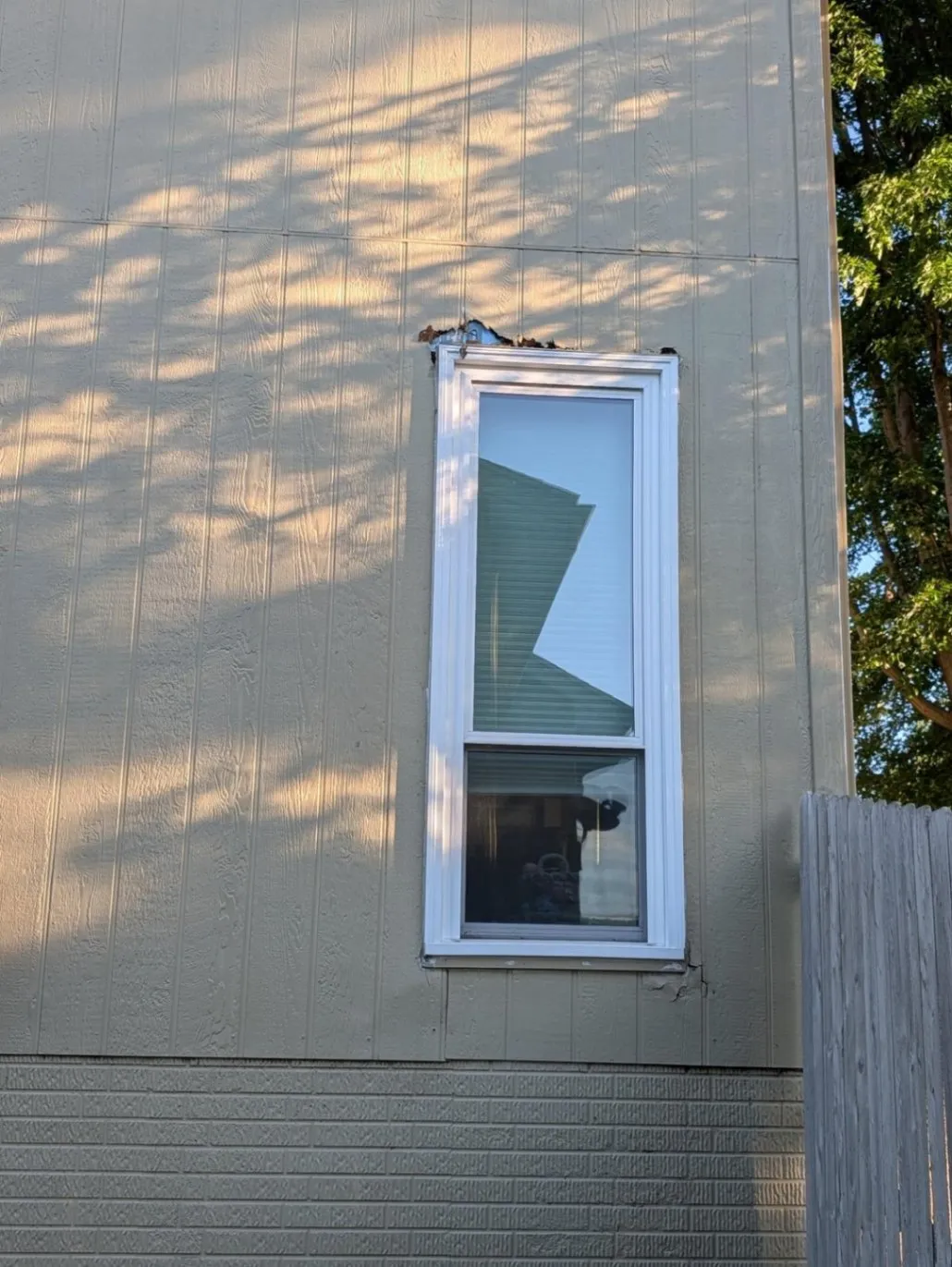 Gallery image 37