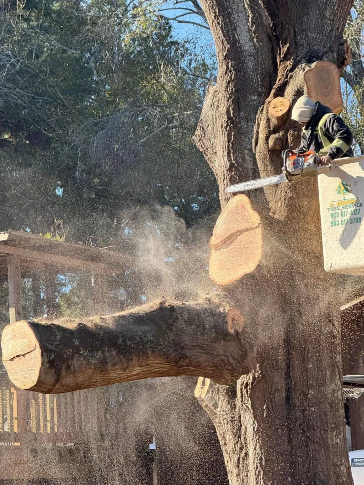 Tree Topping