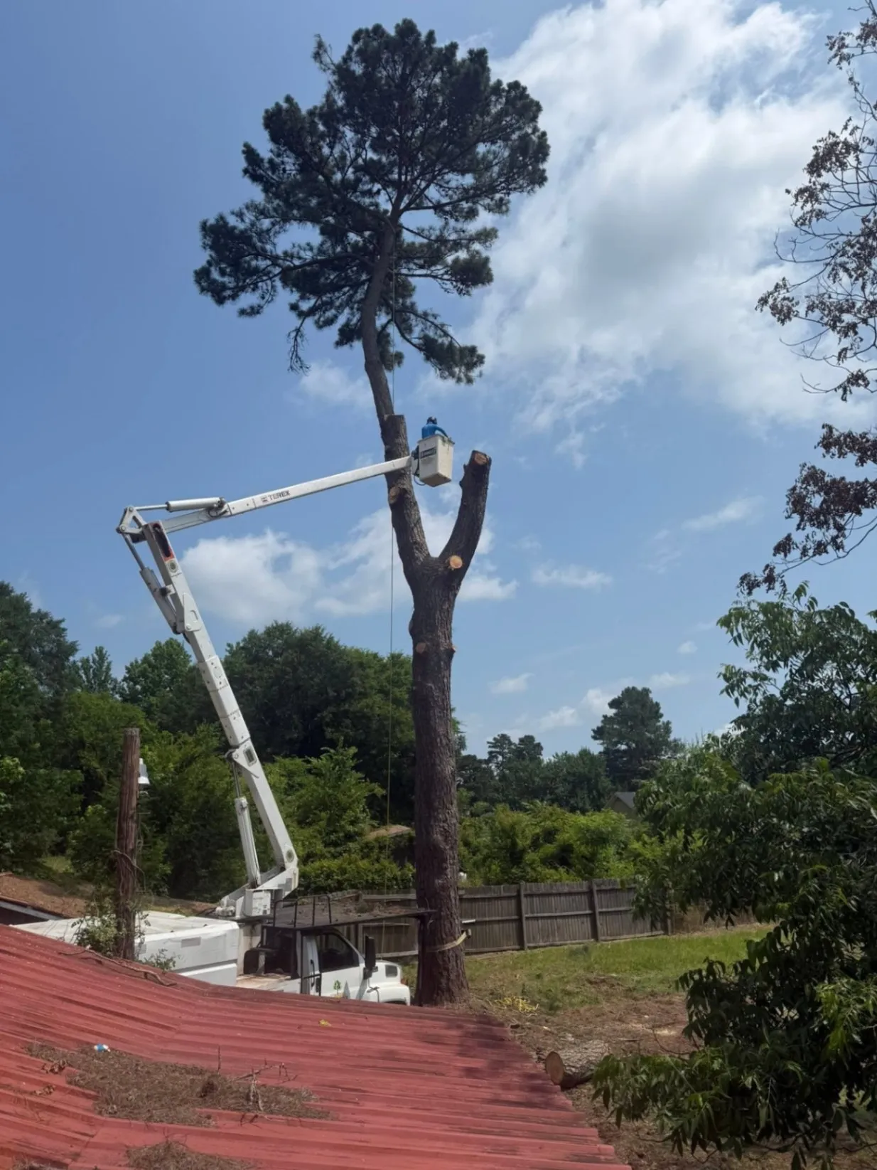 Tree Trimming Services
