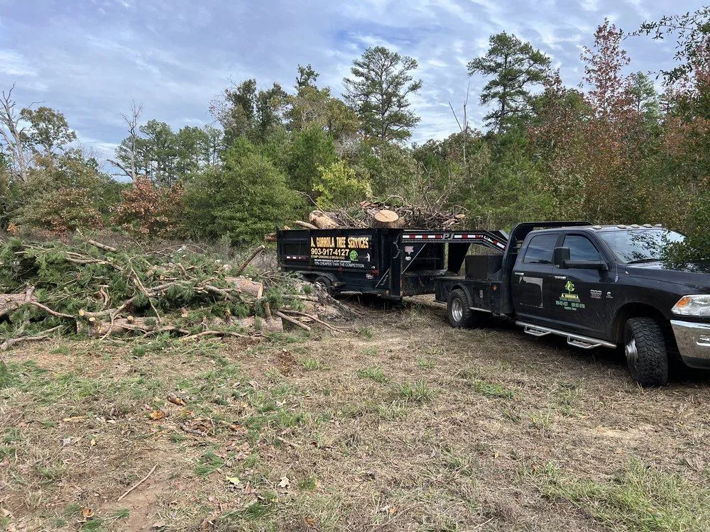 A Gurrola Tree Service - Longview, TX