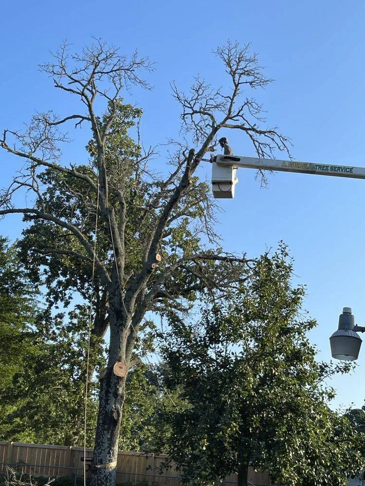 Expert Tree and Outdoor Services 2