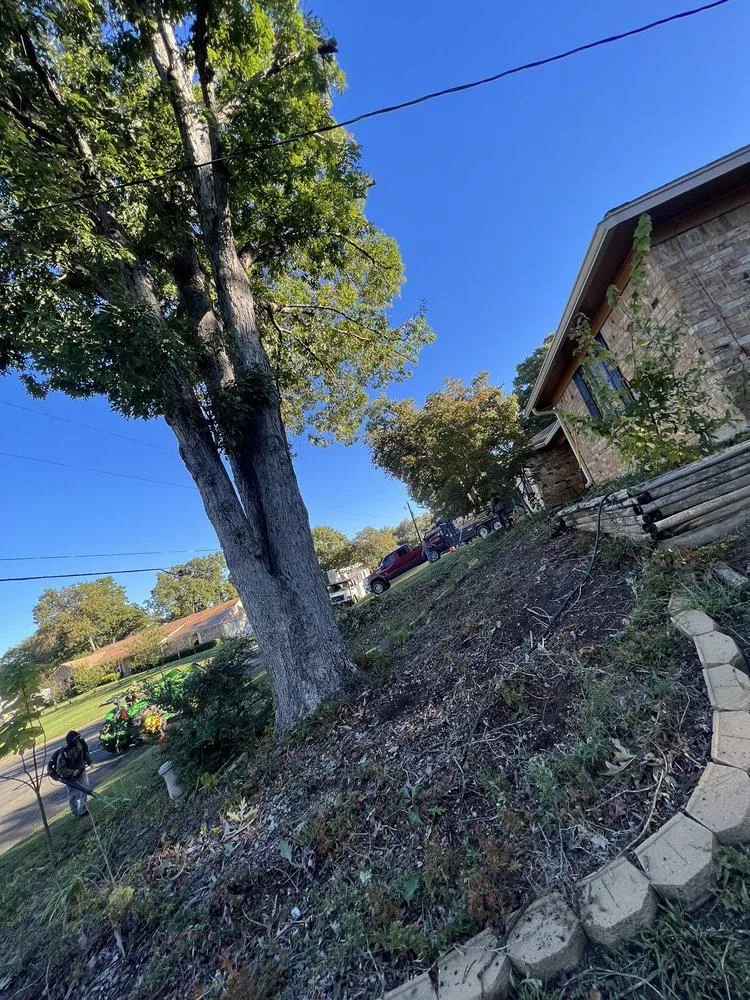 Expert Tree and Outdoor Services 3