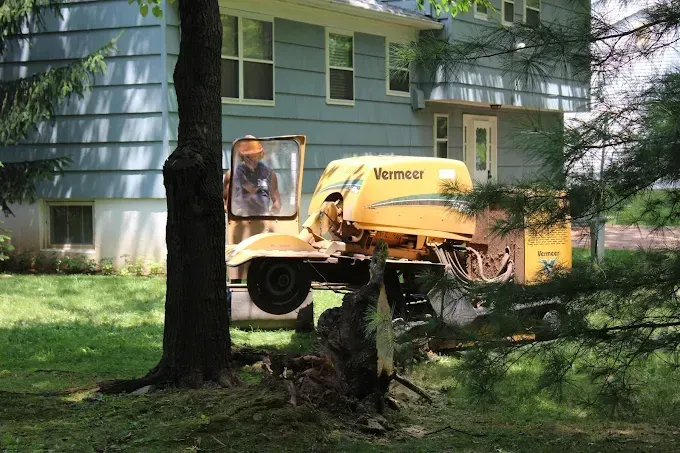 Slide 3 — Expert Tree and Landscaping Solutions