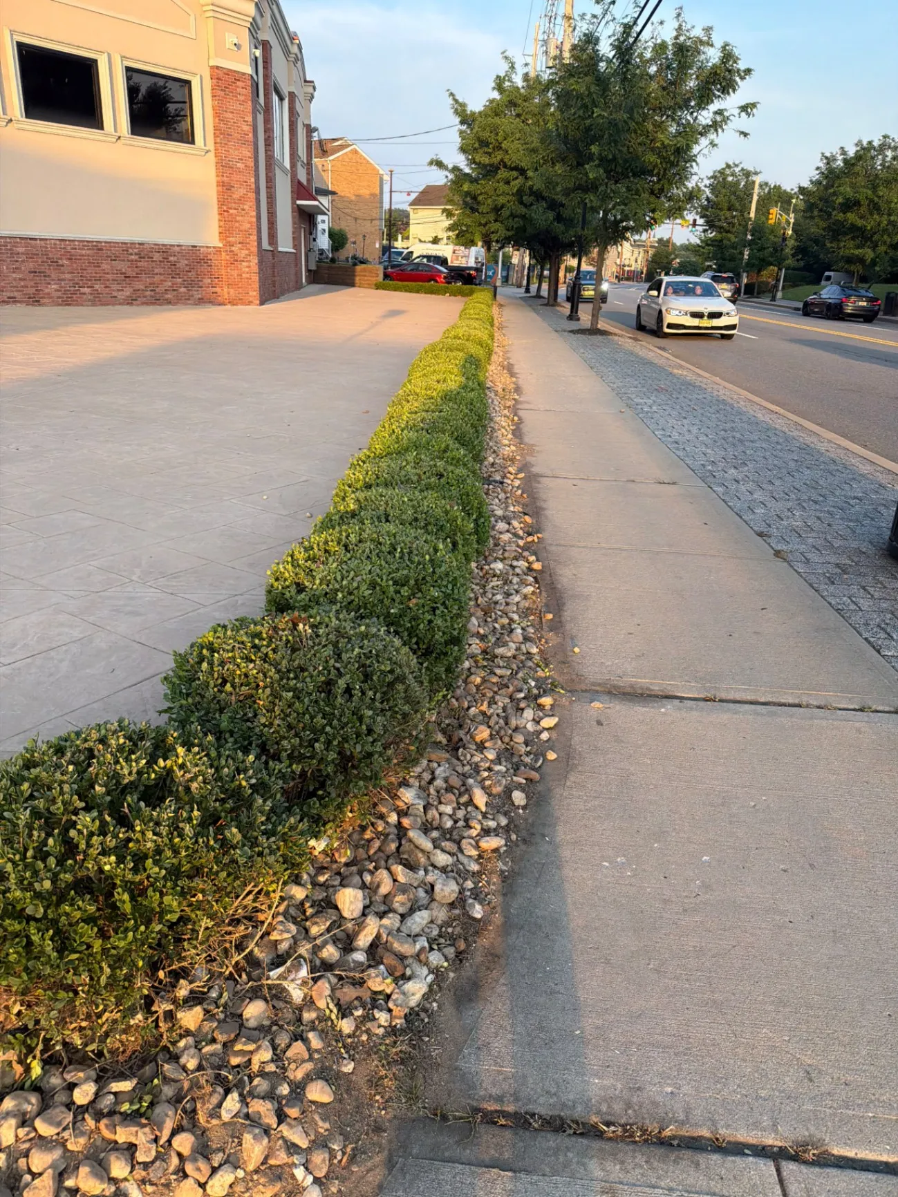 Trimming Services