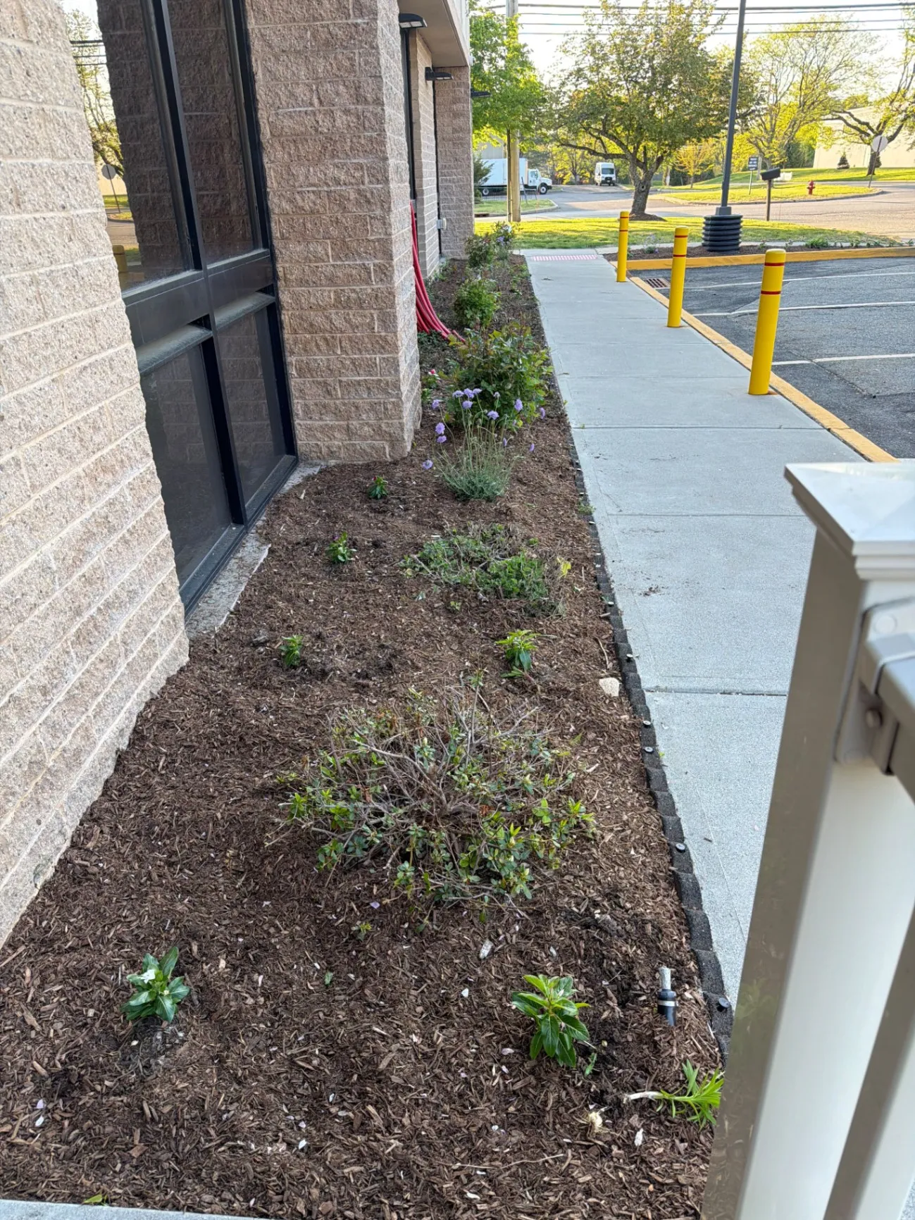 Expert Landscaping and Hardscaping Solutions 2