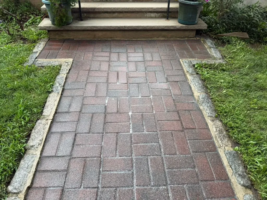 Family vela Landscaping LLC 3